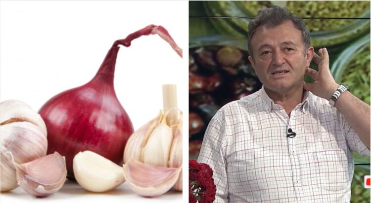 Ylli Merja, Hudhra, Qepa