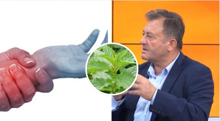 Ylli Merja, Dhimbja e Kyceve