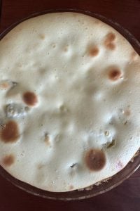 Indulge in the delicious combination of tart rhubarb and creamy custard with this step-by-step guide to making the perfect rhubarb custard pie.