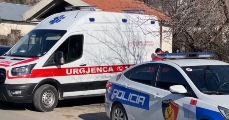 Aksident në Kukës, e ëma humbi kontrollin e automjetit, Iëndohen dy fëmijët 7 dhe 10 vjeç