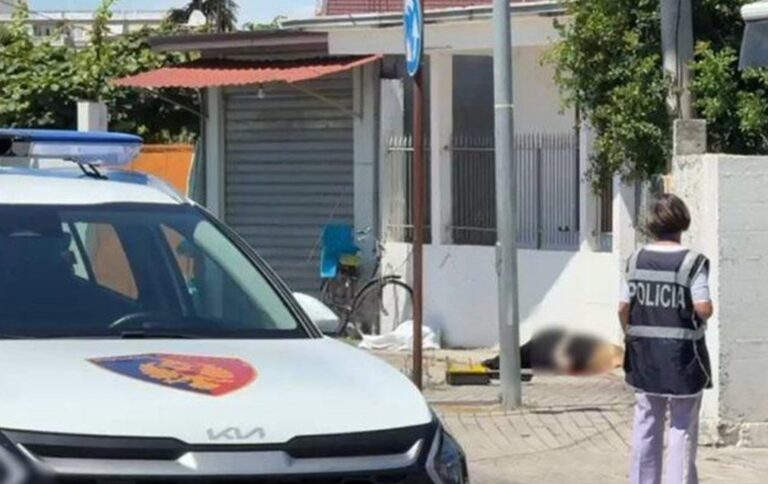 PAMJE TR0NDITESE/ Tr*pi i gruas i “mbuIuar” nga gj*ku qëndron anash rrugës, familjarët të shkatërruar japin dëshmi…